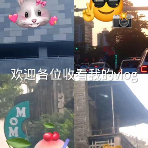 浓情中秋，喜迎国庆——肇庆鼎湖中学八5班十一假期社会实践活动报告