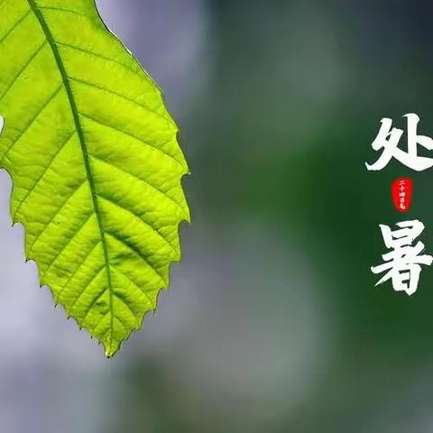 【二十四节气】处暑——暑去凉来好个秋