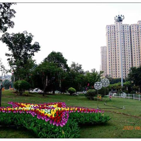 滕州市民公园又添新景观