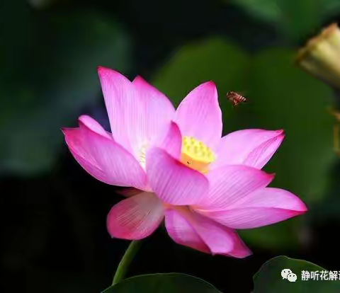 谁敢与名人“抢生意”？