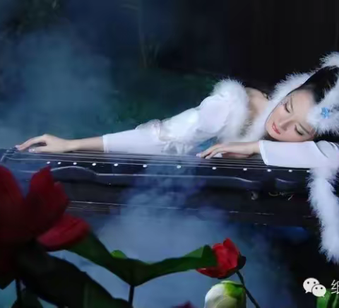 爱情在哪里？谁找到了？