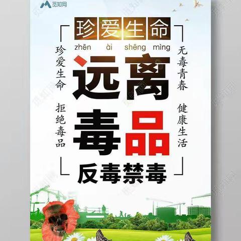 禁种铲毒，从我做起