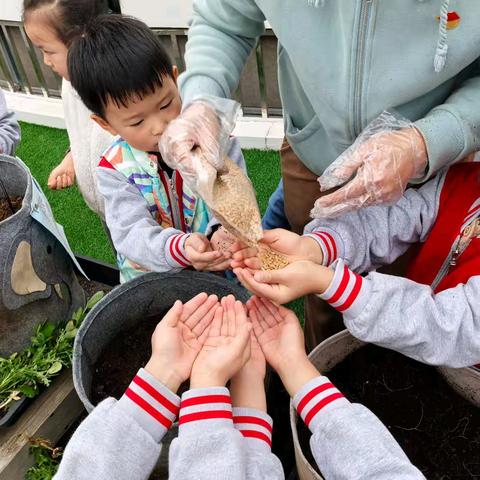 盘龙区东华幼儿园2024年秋季学期第十一周幼儿活动观察记录（大二班徐艺文）