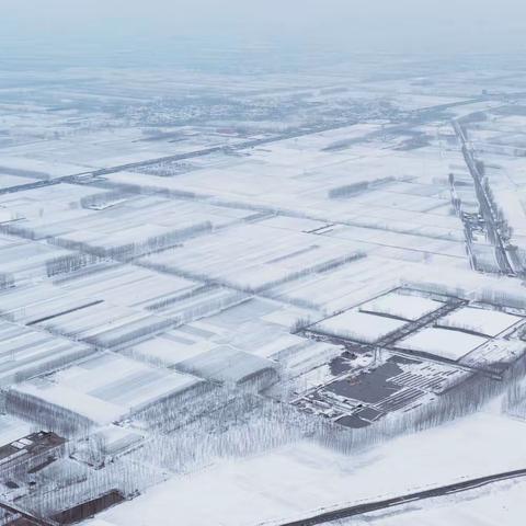 寒潮雨雪来袭   农田小麦应对措施