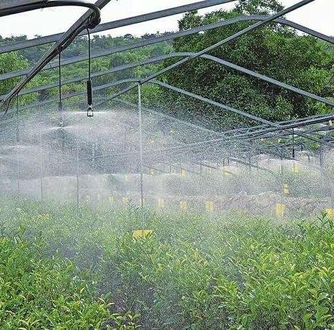 水溶肥是什么怎么用？