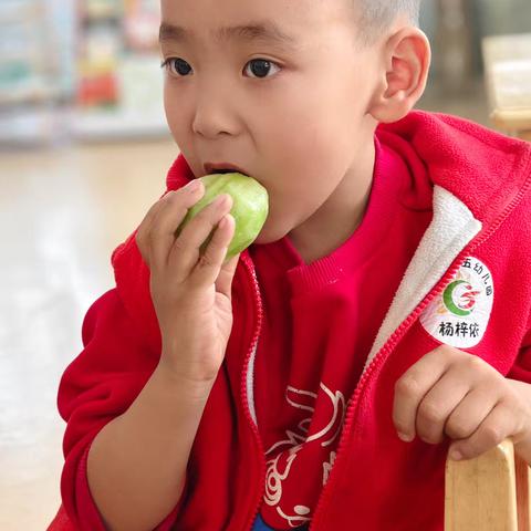 🌿【小班课程故事】奇妙的水果探索之旅 | 从观察到游戏，看萌娃玩转水果奥秘！🍎🍌