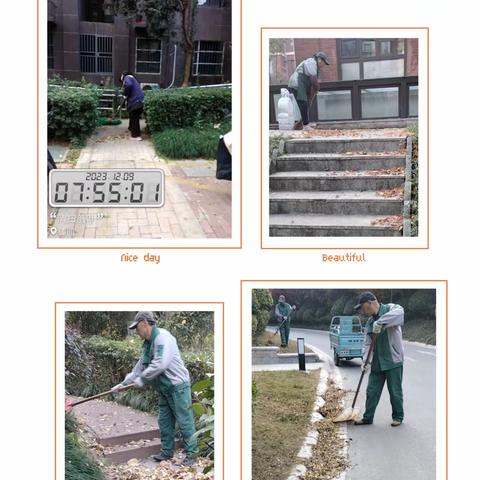 清理小区落叶，维护环境卫生