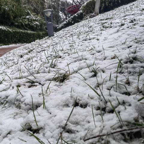 下雪是景 除雪是情——臻园物业清扫积雪暖人心