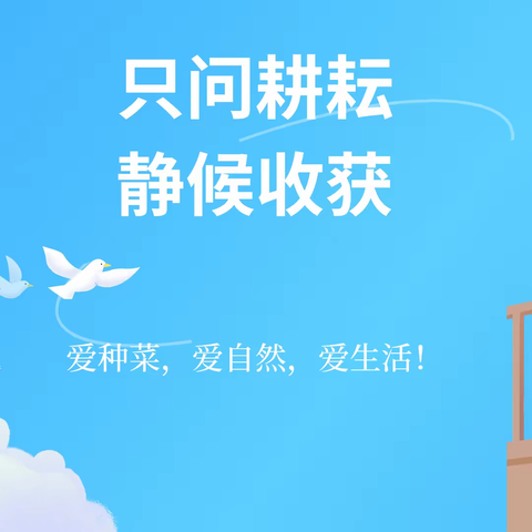 只问耕耘，静候收获。 ——爱种菜，爱自然，爱生活！ 四1班劳动实践活动