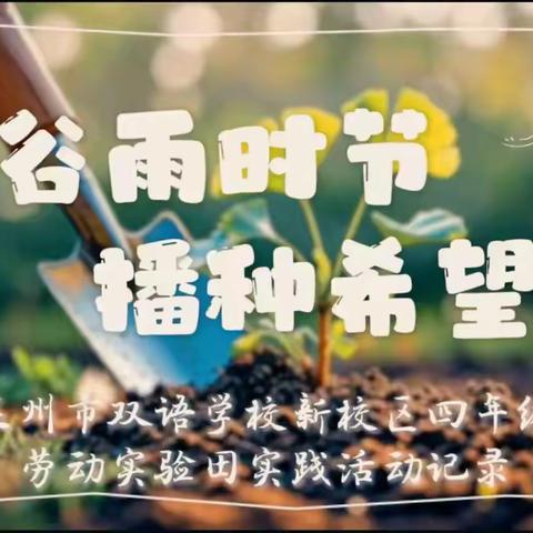 谷雨时节 播种希望 ——莱州市双语学校新校区 四年级劳动实践基地春耕纪实