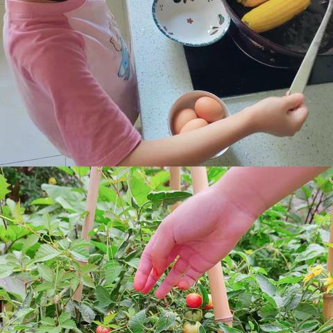 杨语彤的暑假生活－2024