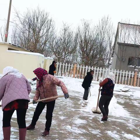 姜家村网格员暖心服务让冰雪有了“温度”