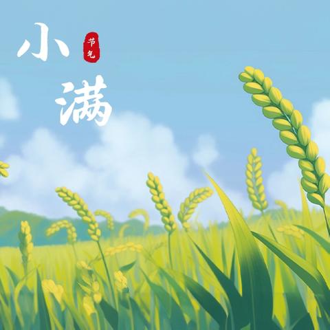 🌼第一幼儿园🌼中七班🌼 🍒二十四节气之小满🍒