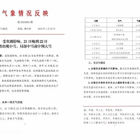 景德镇市特殊教育学校应对低温雨雪冰冻天气工作情况汇报