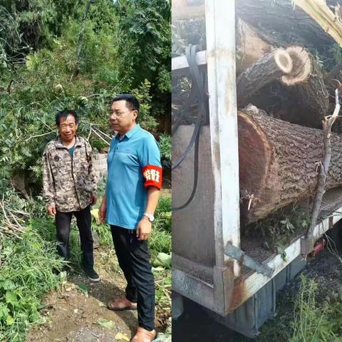 龙卧村“三零”创建工作简报8.21