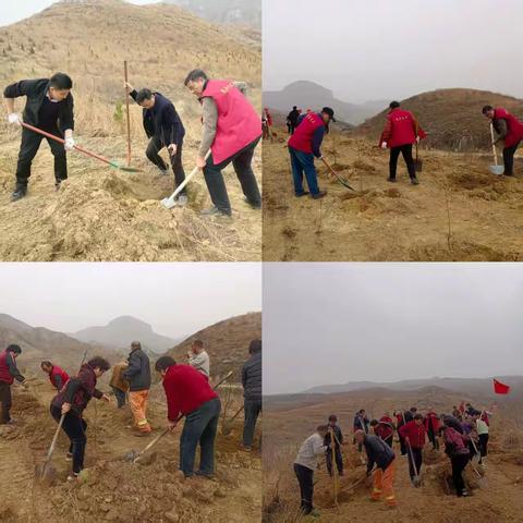 贡献绿色爱心，共建美丽龙卧-龙卧村 开展2025年植树节活动