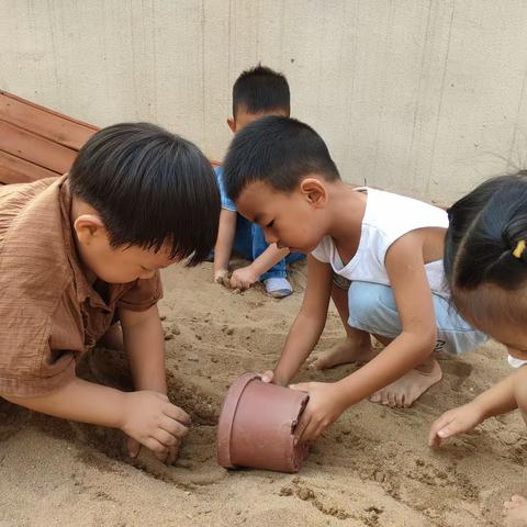 花童年记忆—星辰家8月25日