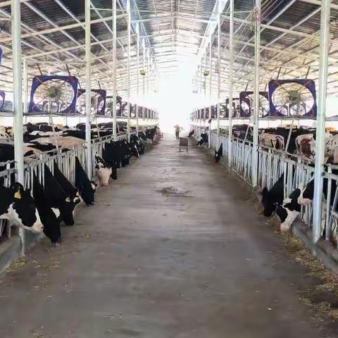 礼享大富 活力升学