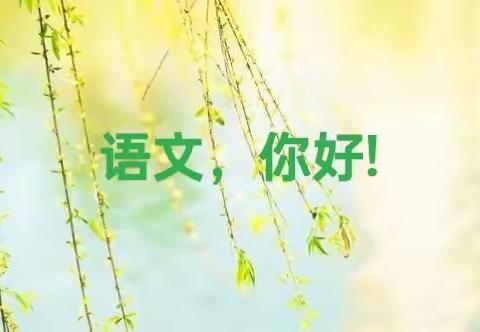 教之“语”，研以“文”—上河溪学校小学语文教研活动