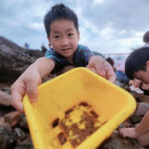 多彩暑假,充实一“夏”——富川小学113班段宇宸暑假特色作业展示（副本）