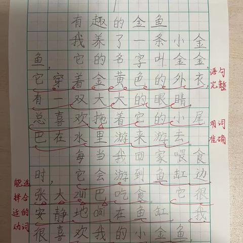 汤圆妹妹二年级写作练习集锦