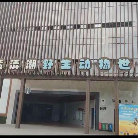 南京紫清湖动物园——快乐同行，一起“趣”研学