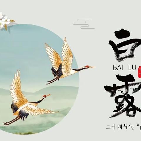 🍂文化路润泽幼儿园大四班主题活动之白露🌾🌾🌾