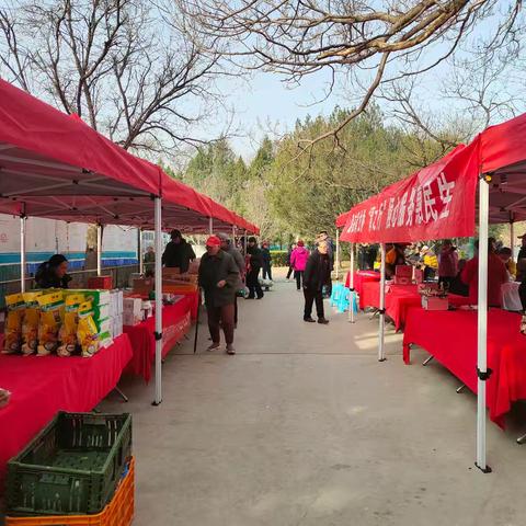 【社区动态】暖心服务，情满家园——“青之行”赴颐和园社区开展便民服务活动