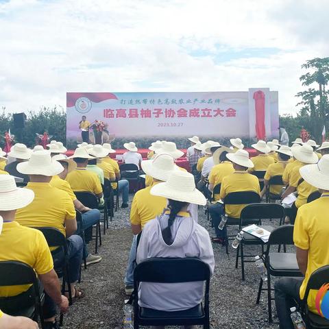 临高县成立柚子协会 搭建桥梁促产业发展