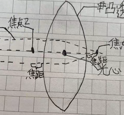 探究凸透镜的成像规律 （	温州市实验小学2019级6班张诚宣）