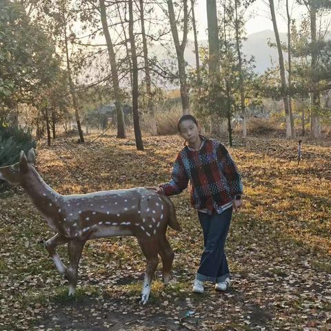 秋日户外的多元画卷