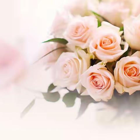 青蓝携手，逐梦前行 ——我的德育导师