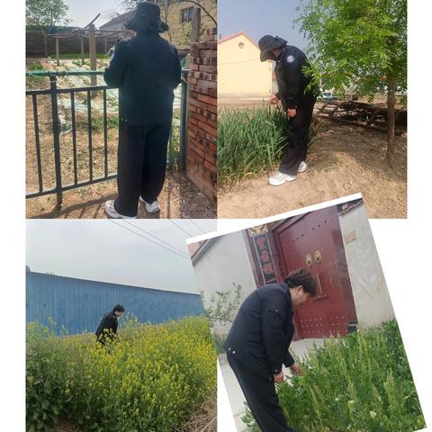 明集乡网格中心——王艳花的简篇