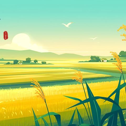 🌸寒梅一班🌸 ‍第十三周周小结