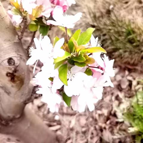 五一劳动节风景