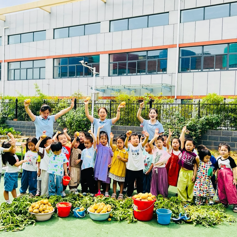 土豆的故事         —润泽幼儿园小一班                                   种植活动