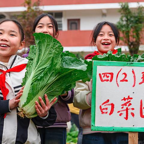 走进镇宁双龙山中心校，笑靥如花的少年