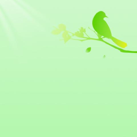 陪一朵花开，见幼苗成长——葡萄镇木纳尔幼儿园2025年春季学期幼儿发展评估篇