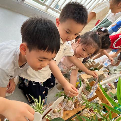 麦豆豆三千城幼儿园萌豆二班           周报（6.11—6.14）