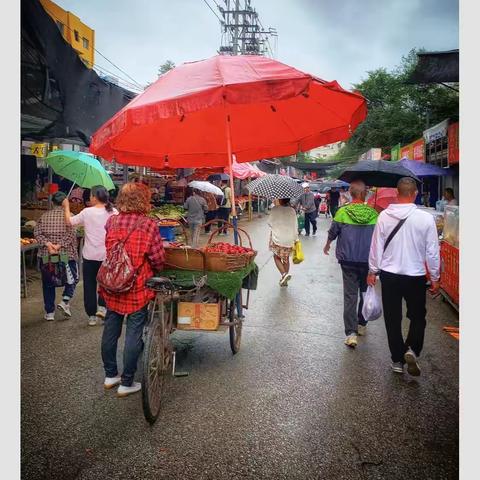 【人文纪实】《细雨中的早市》 郑永争