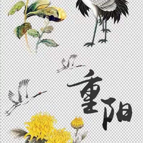 党建活动在重阳