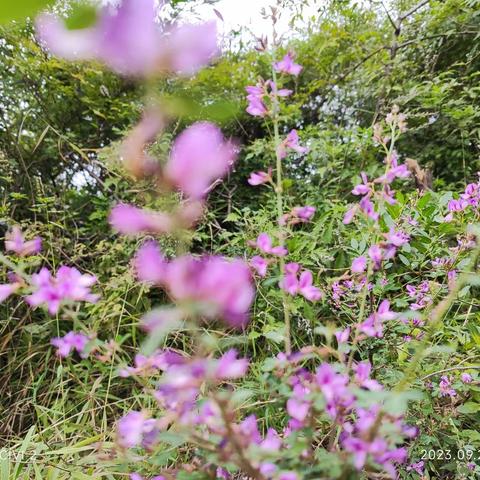 薛店镇王圪垱村《家风建设》第10期