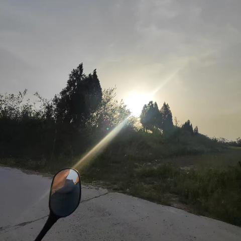 夫妻俩采茶小日记