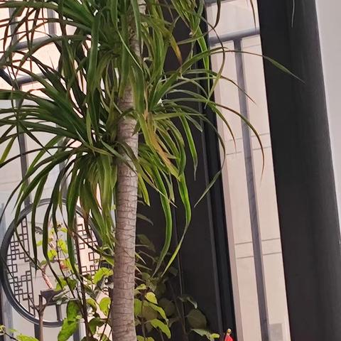 诚信之家串门活动情更浓