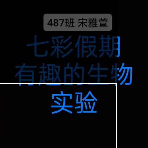 487班 宋雅萱