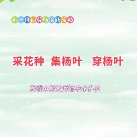 太有新意了！ 原来劳动实践还可以这样做——新泰市新汶街道中心小学学生采花种、集杨叶、穿杨叶劳动实践活动