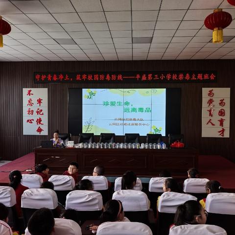 守护青春净土，筑牢校园防毒防线——平盛三小禁毒教育宣传活动纪实