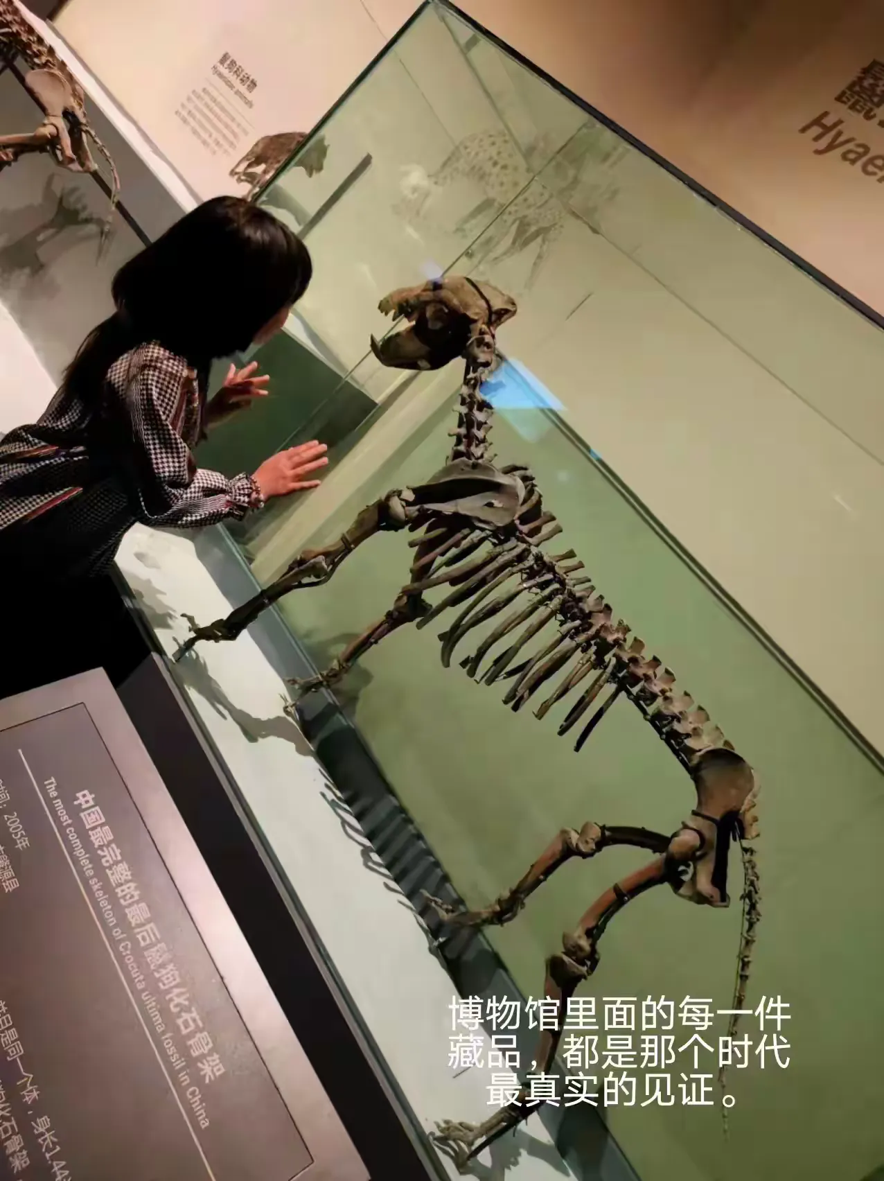 简篇-【能力作风建设工作落实年】八百垧第一小学
畅游大庆快乐研学 记录成长乐享旅发