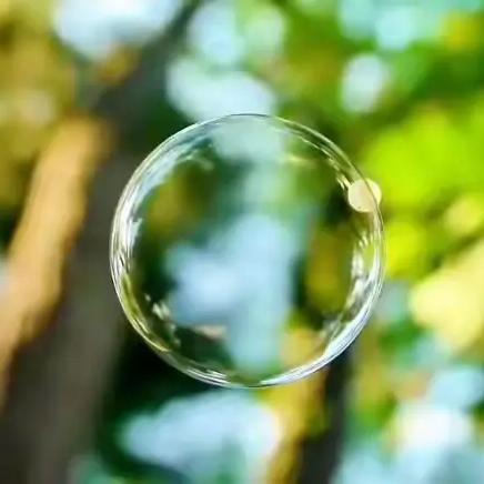 中班十二、一月总结