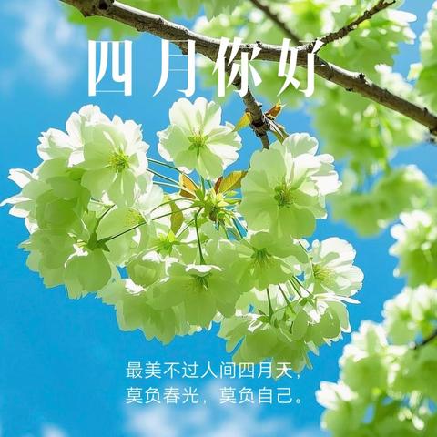 中班四月月总结